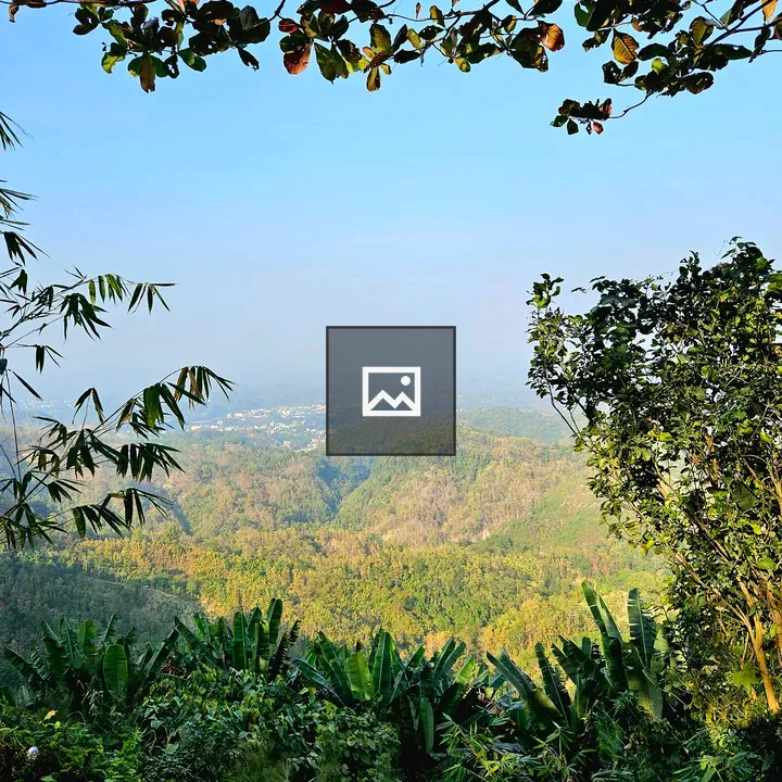 Lush hillscape through leaves