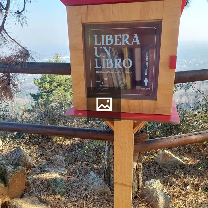 Books on a Box Scene