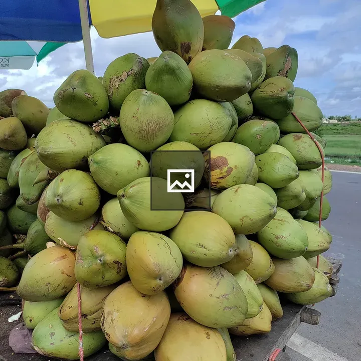 Tender Coconuts