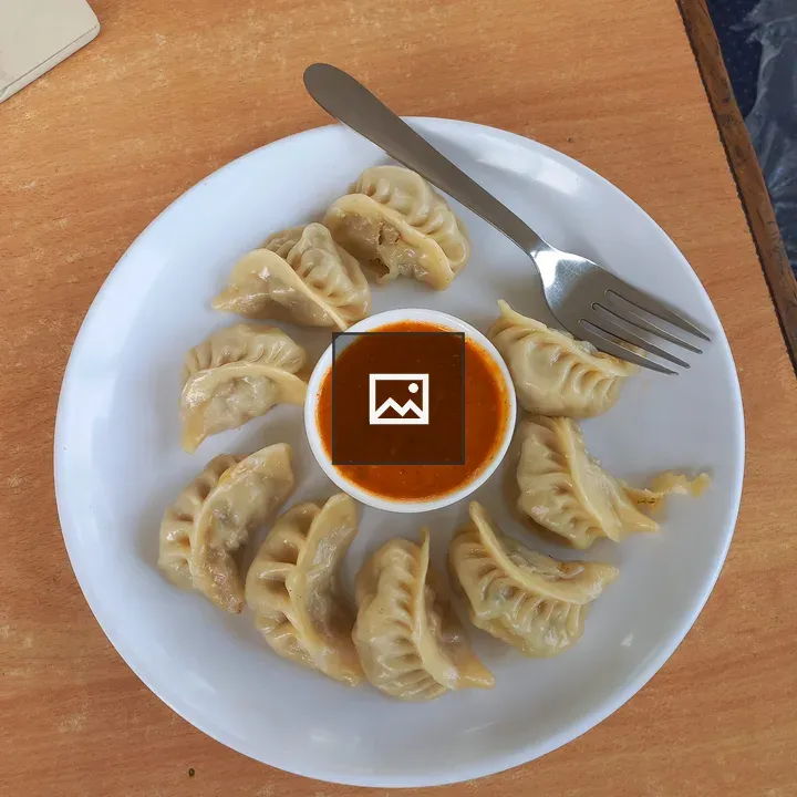 Steamed Dumplings on Plate