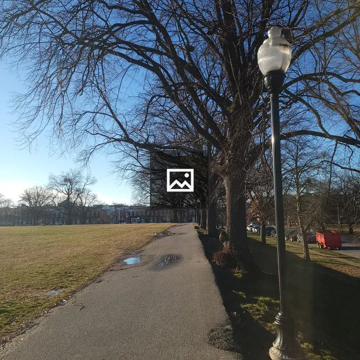 Tree-lined sidewalk with lamp