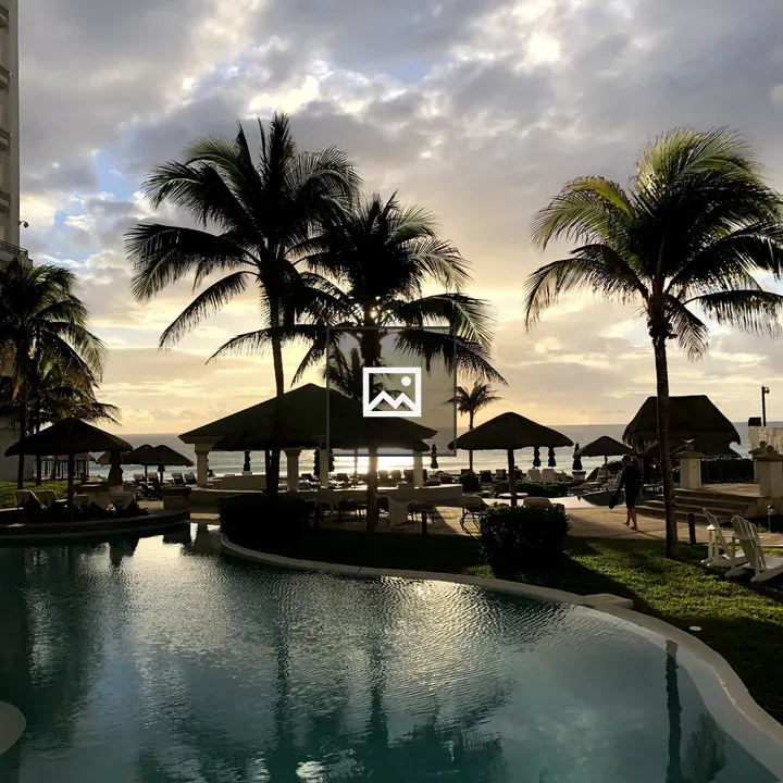 Beachside pool and palm trees