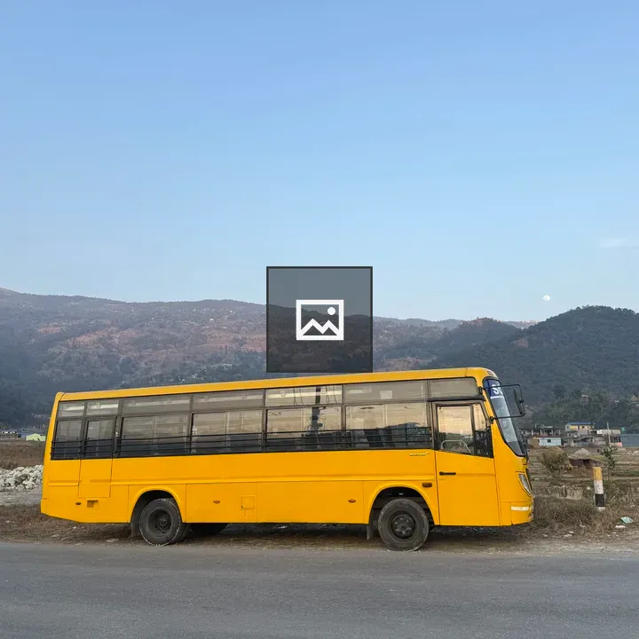 Yellow bus beside road