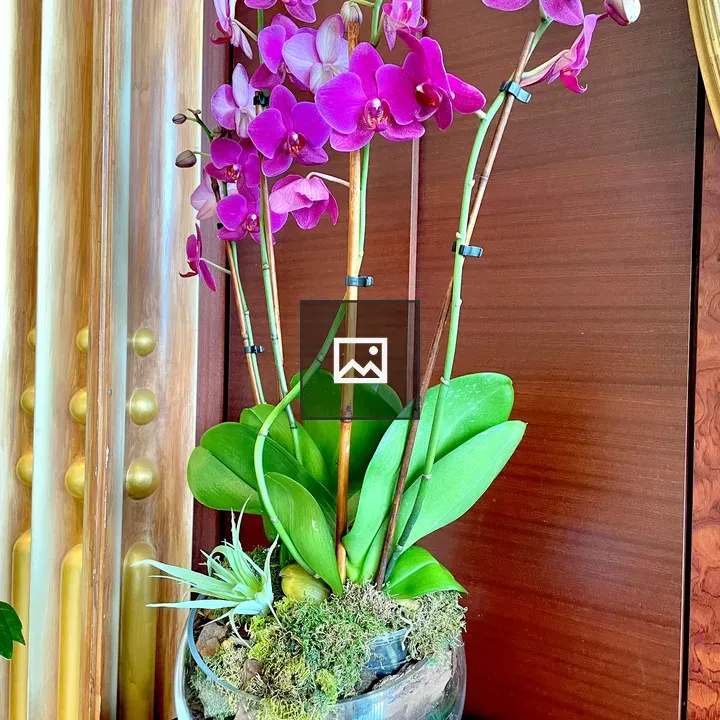 Artificial orchid flowers