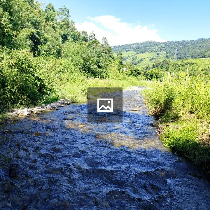 Stream Over Rocks in Green Hills