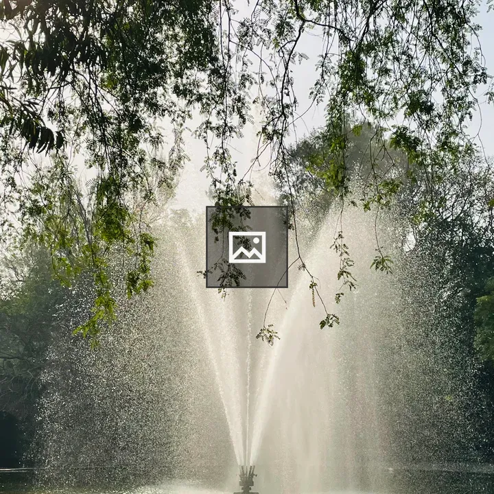 Water fountain at Lodhi Garden