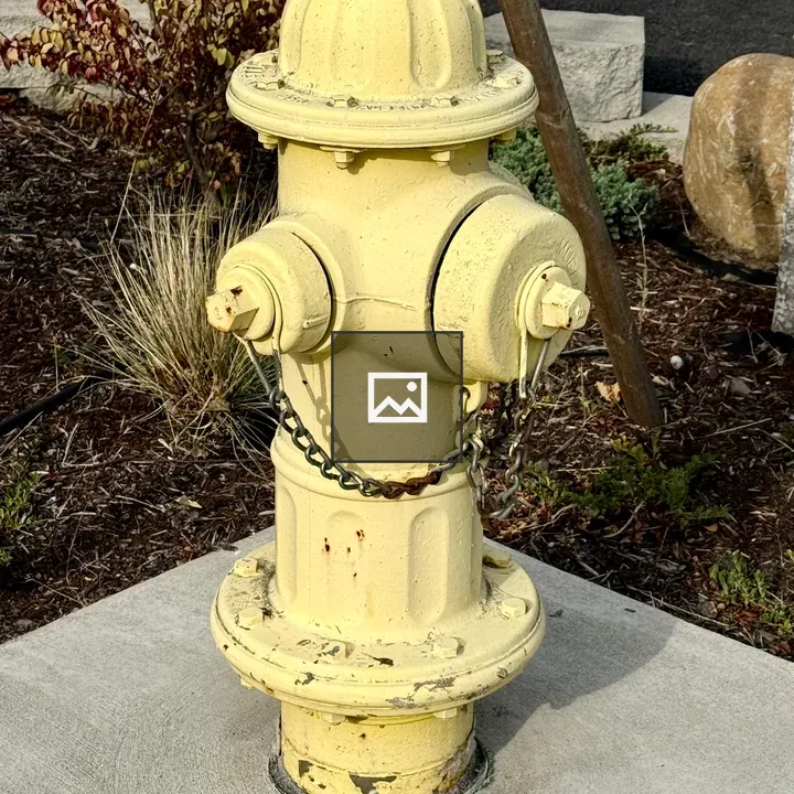 Yellow fire hydrant on street