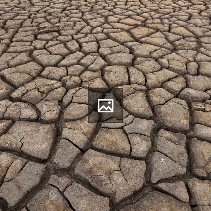 Dry cracked earth close-up