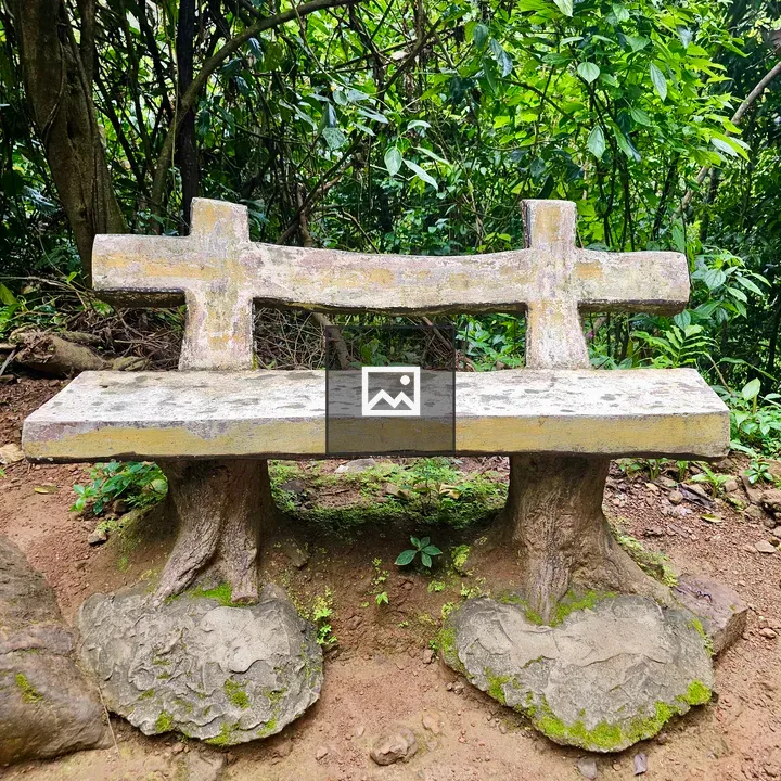 Rustic Cement Bench in Forest