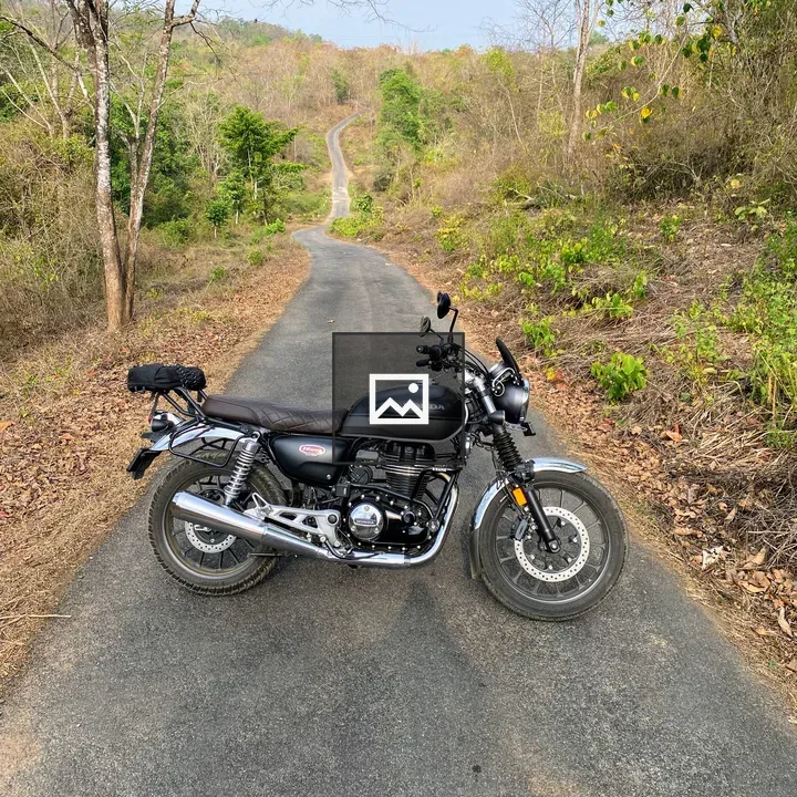 Motorbike on Forest Road