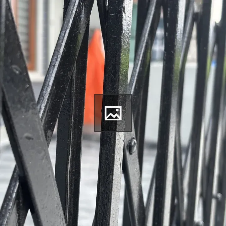 Close-up of black metal fence