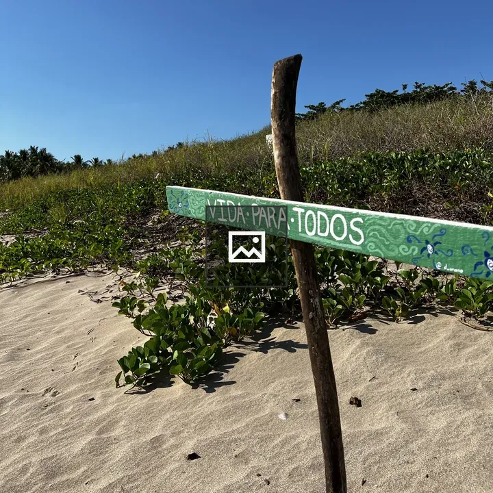 Wooden Signpost with VIDA PARA TODOS