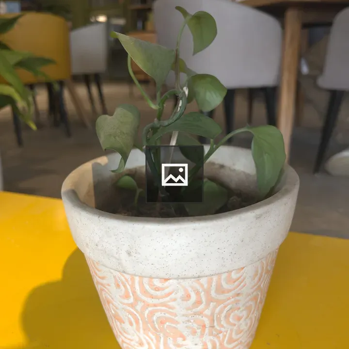Small plant in pot on table