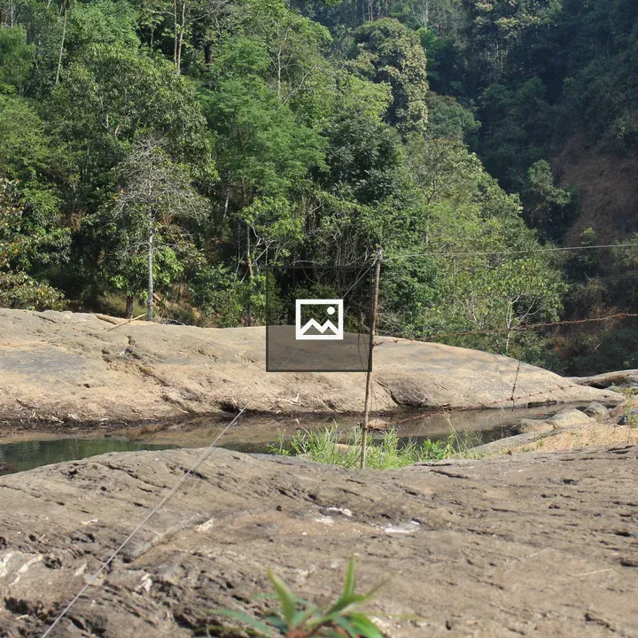 Small water stream in a mountain