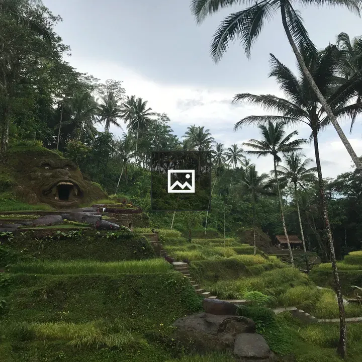 Tea Garden Bali Indonesia