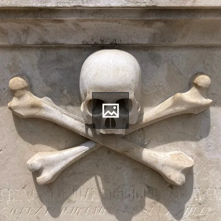 Skull on grave in cemetery