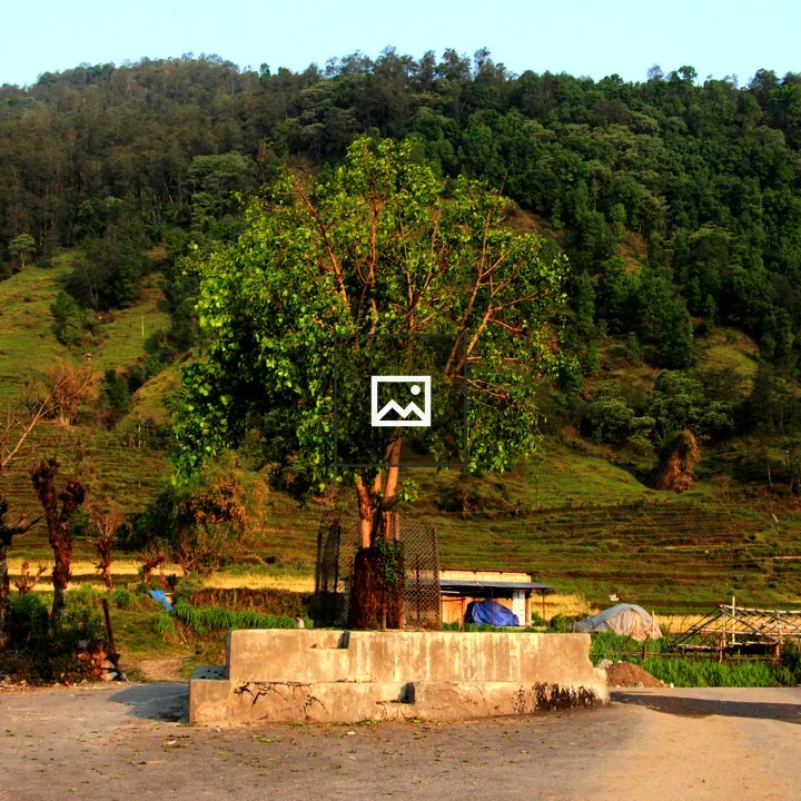 Chautari rest point