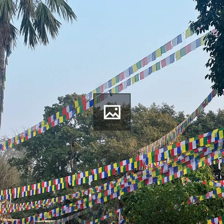 Prayer flags between trees