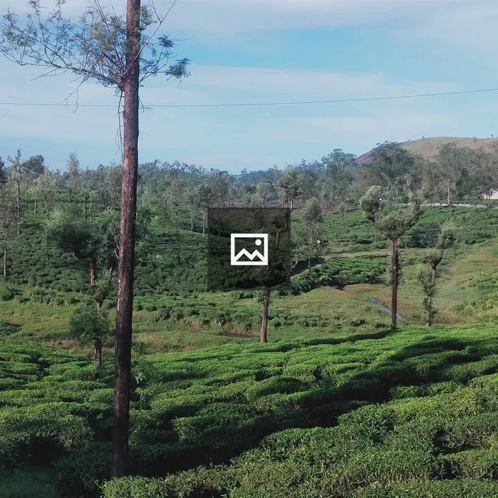 Valparai Sunrise Morning