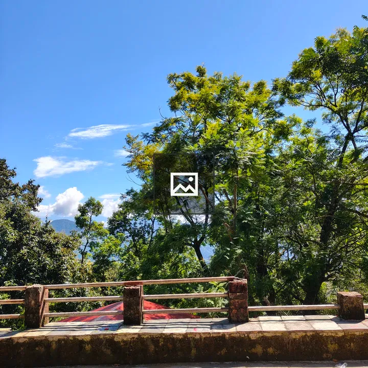 Scenic sky with trees