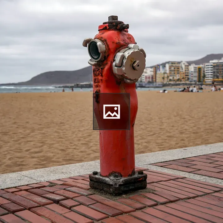 Fire hydrant on brick walkway
