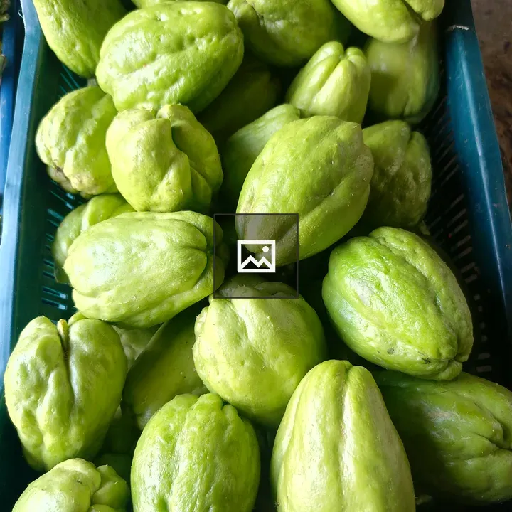 Green chayote squash close-up
