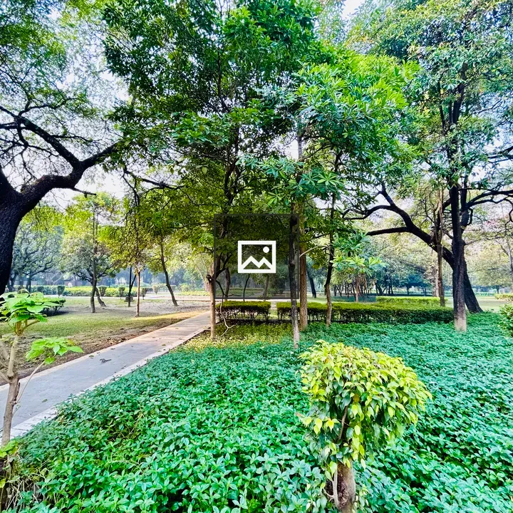Pathway with trees and plants