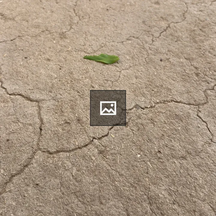 Leaf on cracked ground