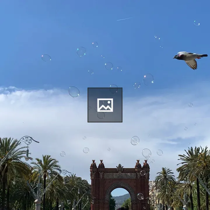 Soap Bubbles with Bird and Sky