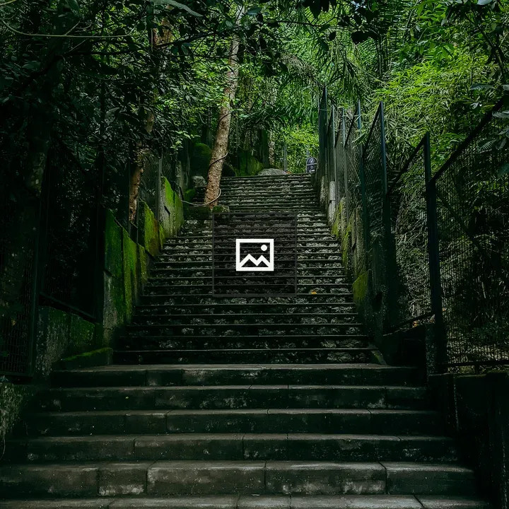 Staircase through nature