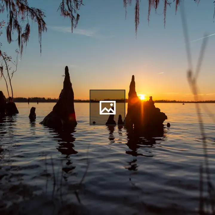 Sunset over river roots