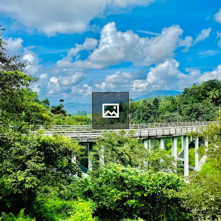 Thusharagiri Bridge View