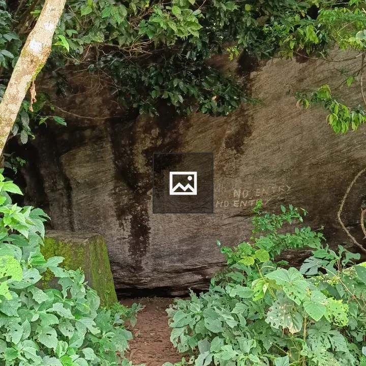 Rock structure behind trees