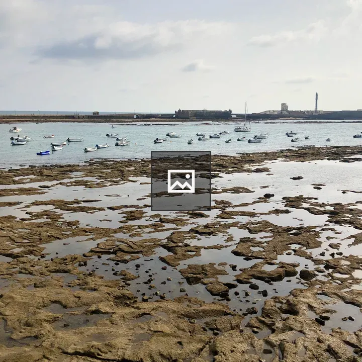 Coastline with Cádiz Boats and Castle