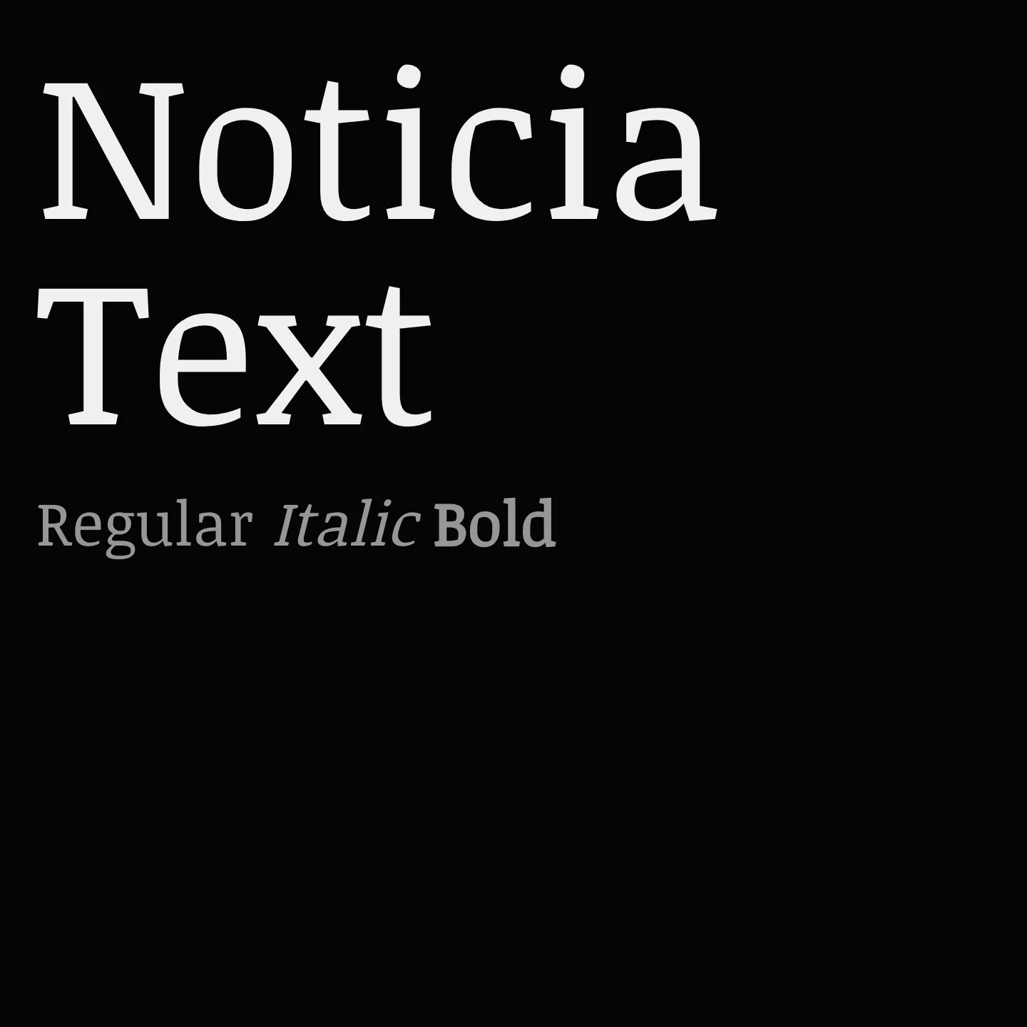 Noticia Text