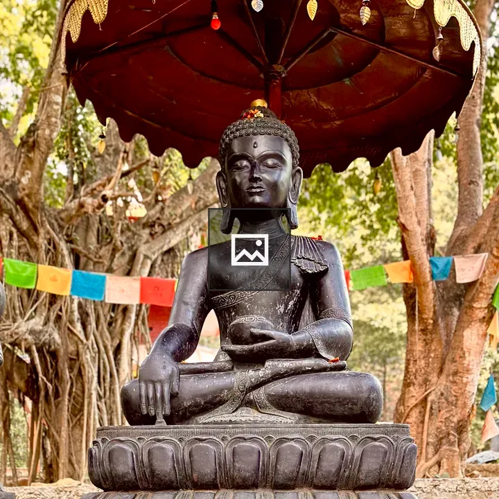 Statue of Lord Bishnu
