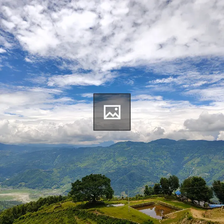Lush hillside with large foreground tree