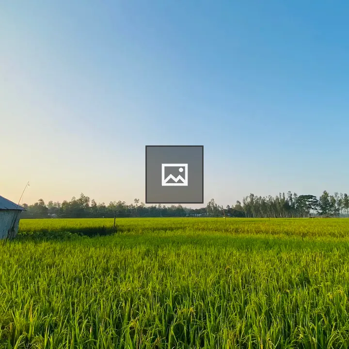 Village nature beauty