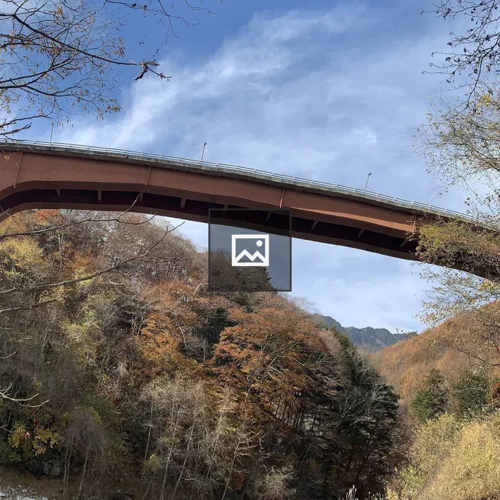 Autumn Leaves Overpass Koshu