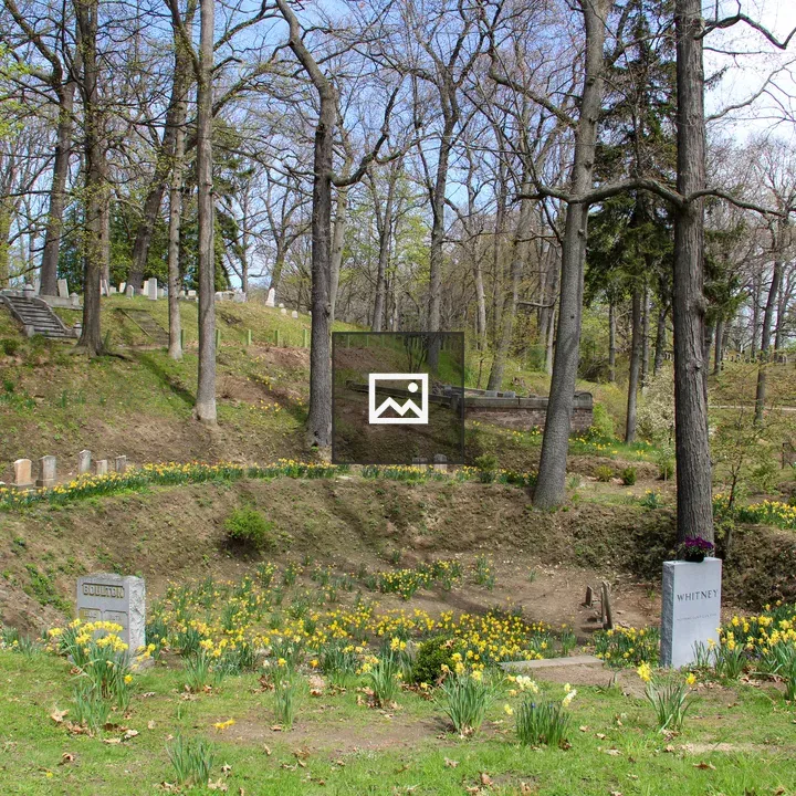 Mount Hope Cemetery scene