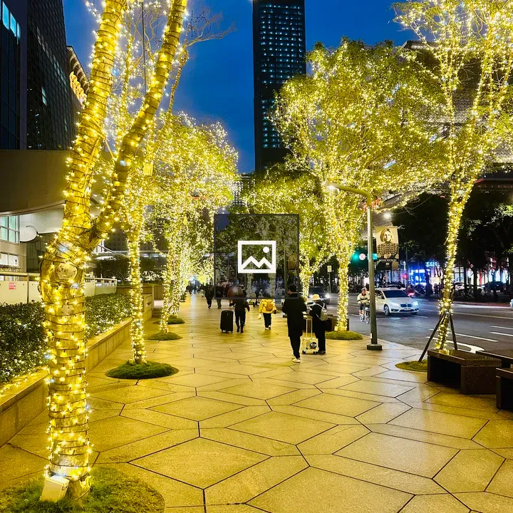 Colorful tree lights in Taiwan street