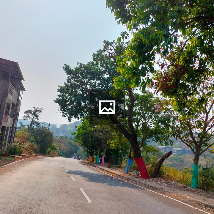 Sunny road with trees and building