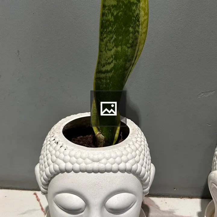 Ceramic Buddha Head Planter