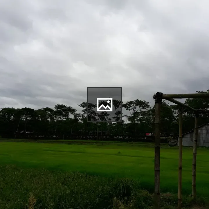 Cloudy sky over grass and trees