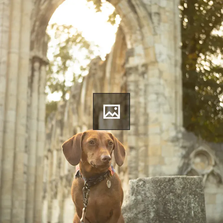 Dachshund by Stone Ruins