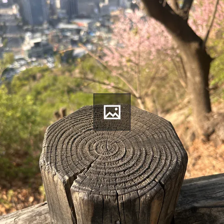 Weathered wooden post with blossoms