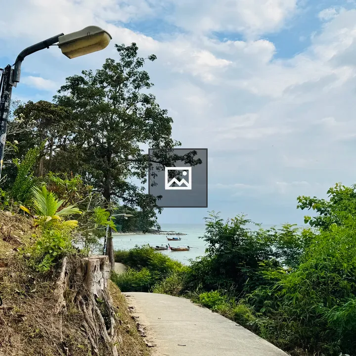 Winding path to the ocean landscape