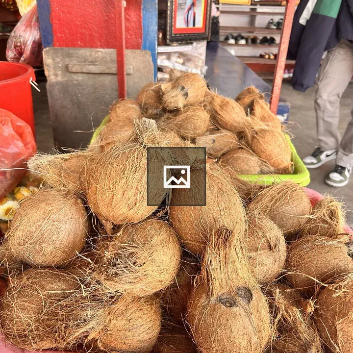 Basket of coconuts close-up