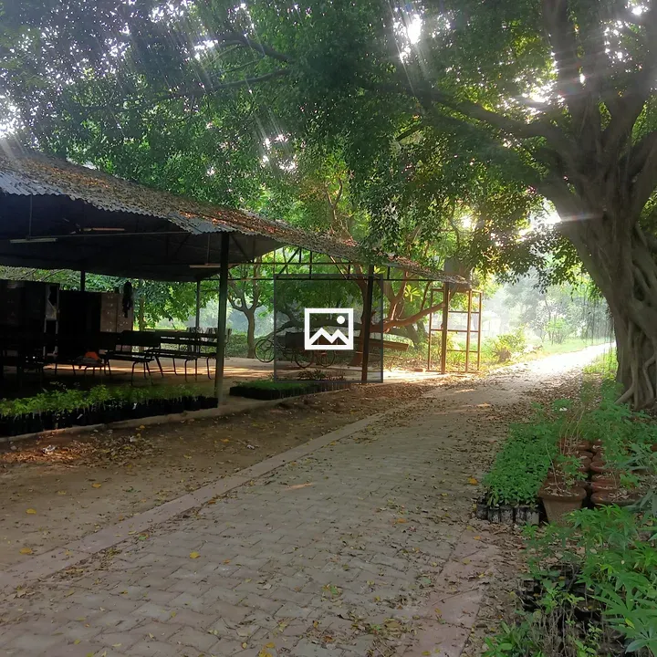 Pavilion Along Forest Path