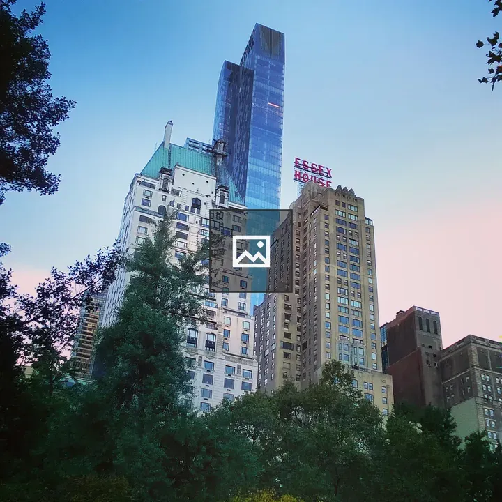 Central Park Skyline and Trees